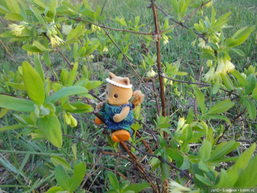 Sylvanian Families:весенняя прогулка сильванийцев