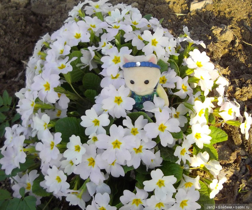 Sylvanian Families:весенняя прогулка сильванийцев