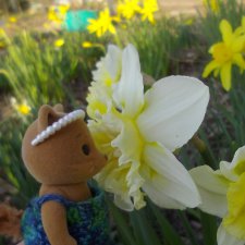 Sylvanian Families:весенняя прогулка сильванийцев