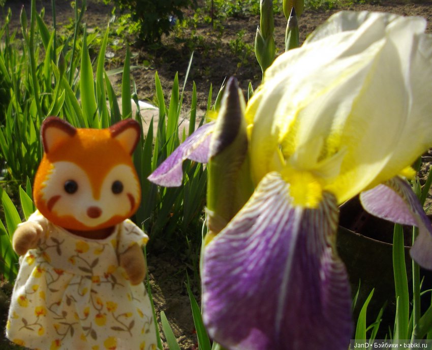 Sylvanian Families: прогулка сильвашек на природе