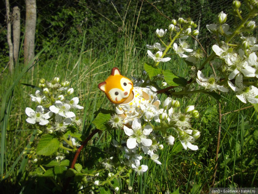 Sylvanian Families: прогулка сильвашек на природе (фото 7)