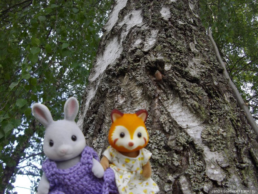 Sylvanian Families: прогулка сильвашек на природе