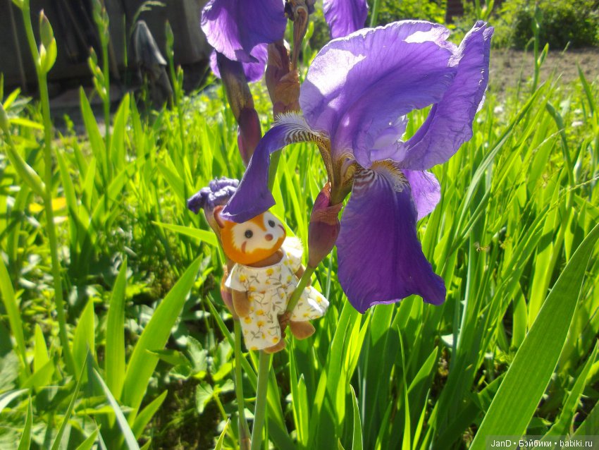 Sylvanian Families: прогулка сильвашек на природе