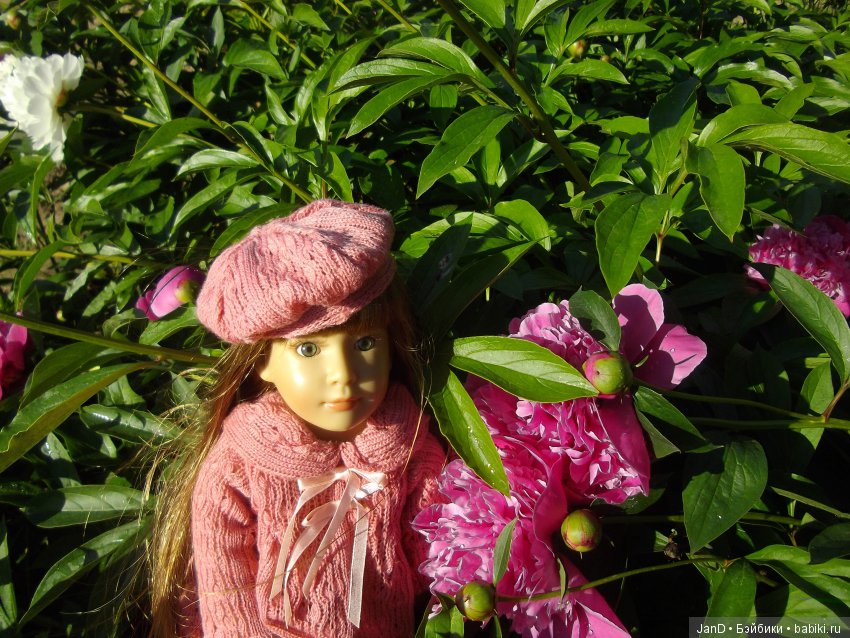 Kidz'N'Cats Люсия на даче