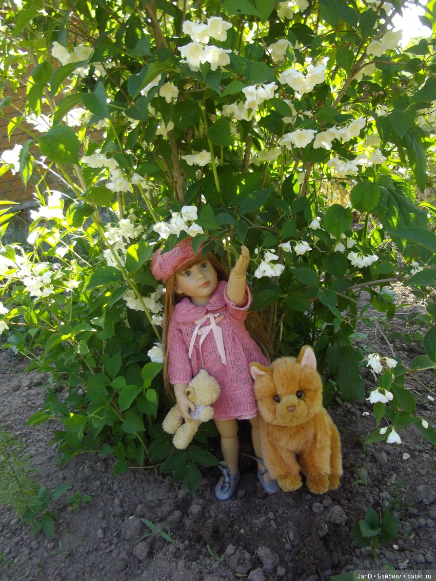 Kidz'N'Cats Люсия на даче (фото 5)