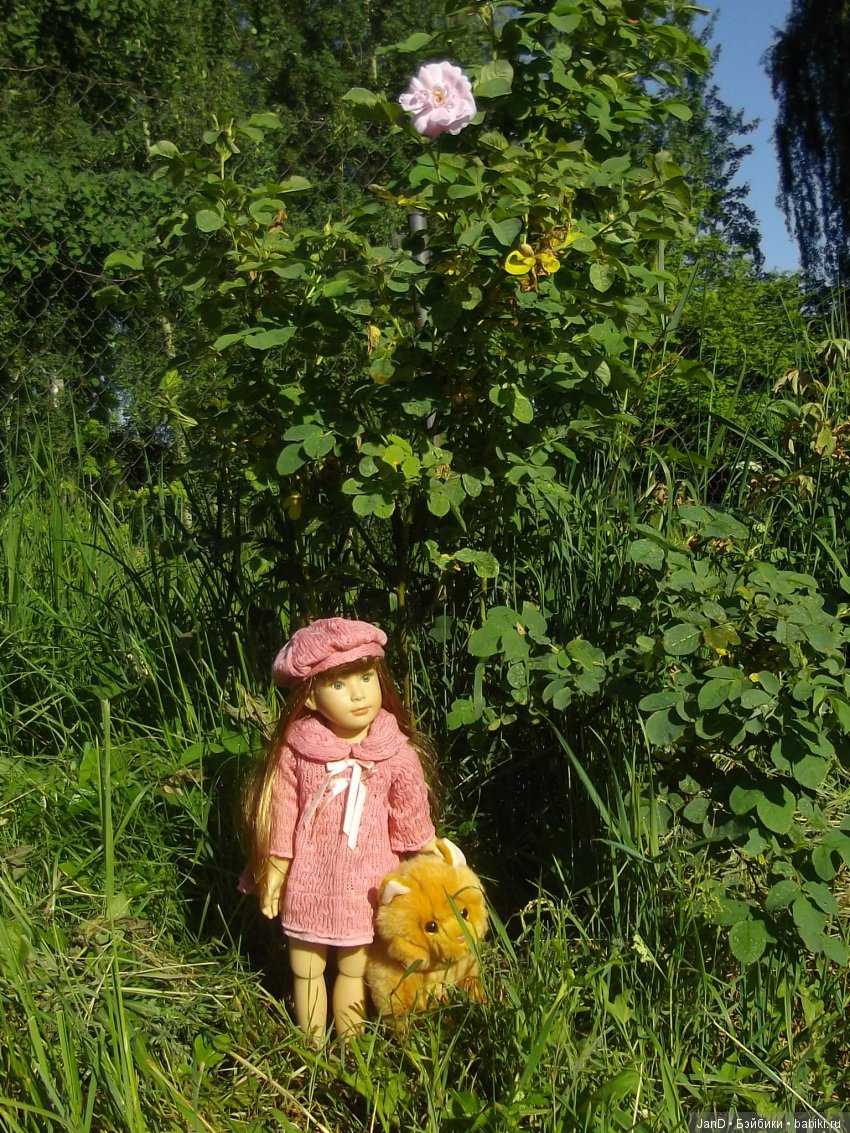 Kidz'N'Cats Люсия на даче