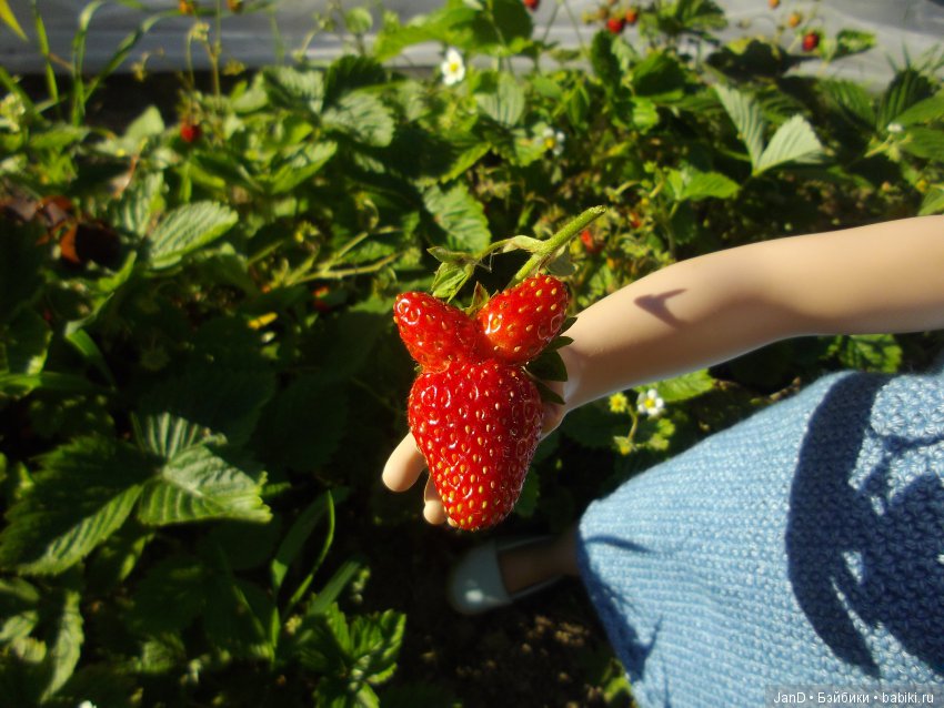 Zwergnase Junior: Karolina