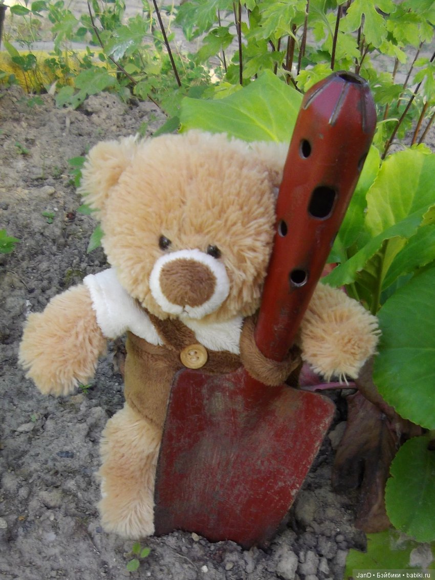 Zwergnase Junior: Karolina (фото 9)