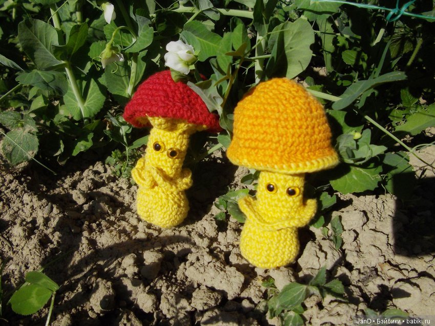 Zwergnase Junior: Karolina