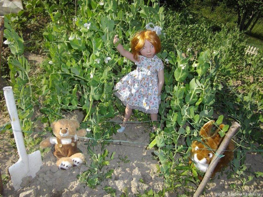 Zwergnase Junior: Karolina