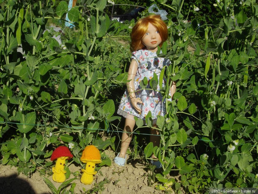 Zwergnase Junior: Karolina