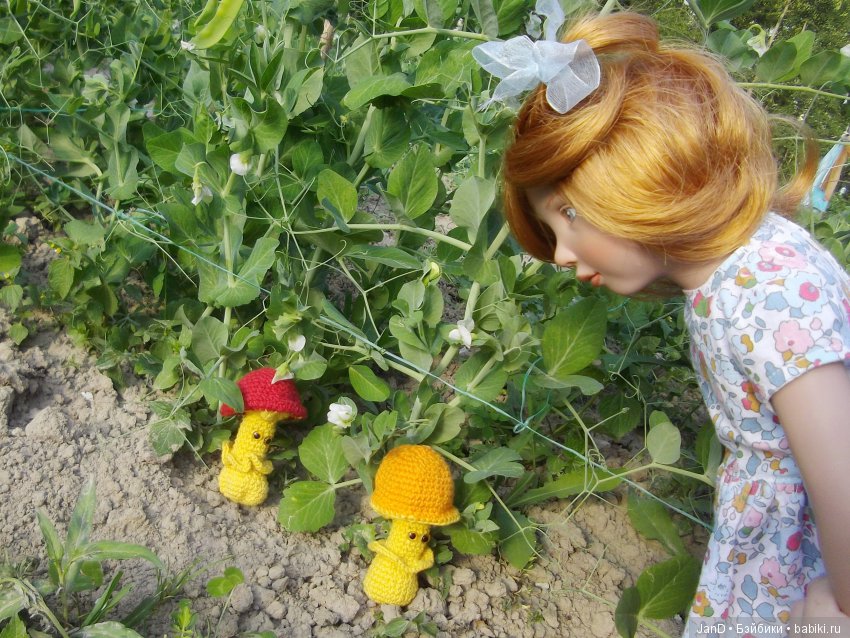 Zwergnase Junior: Karolina