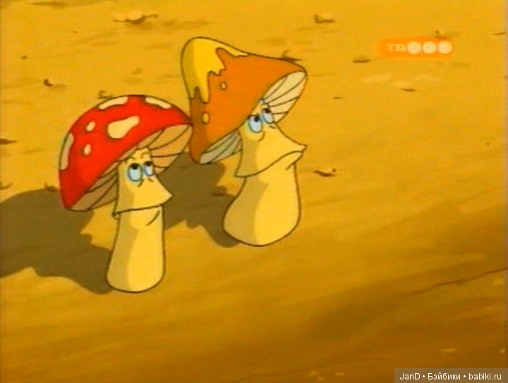 Zwergnase Junior: Karolina