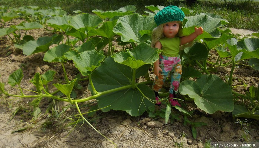 Käthe Kruse Emma — Куклы Kathe Kruse (Кате/Кэте Крузе): фото