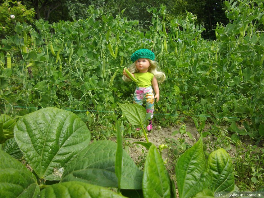 Käthe Kruse Emma — Куклы Kathe Kruse (Кате/Кэте Крузе): фото