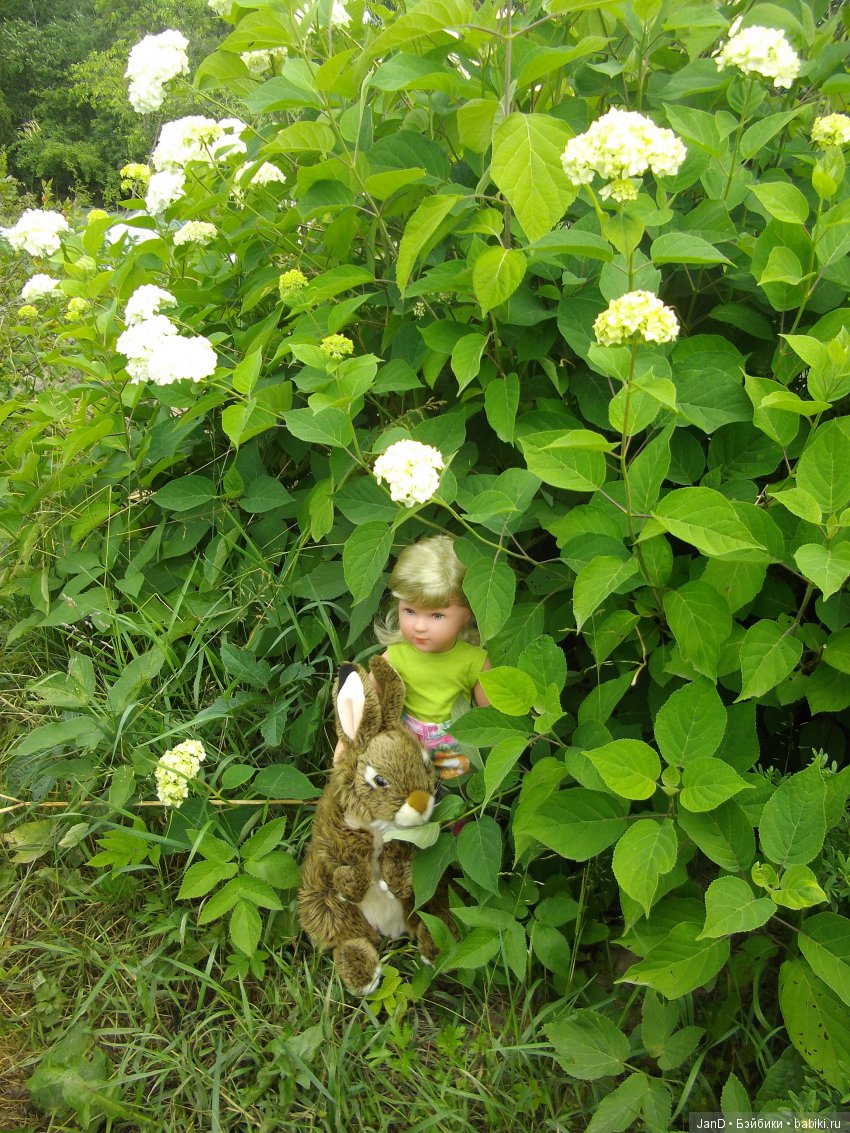 Käthe Kruse Emma — Куклы Kathe Kruse (Кате/Кэте Крузе): фото (фото 7)