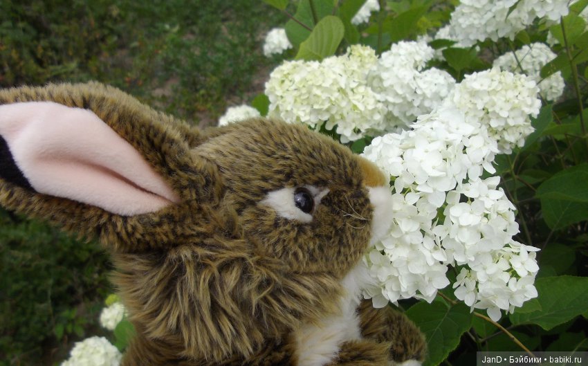 Käthe Kruse Emma — Куклы Kathe Kruse (Кате/Кэте Крузе): фото (фото 10)