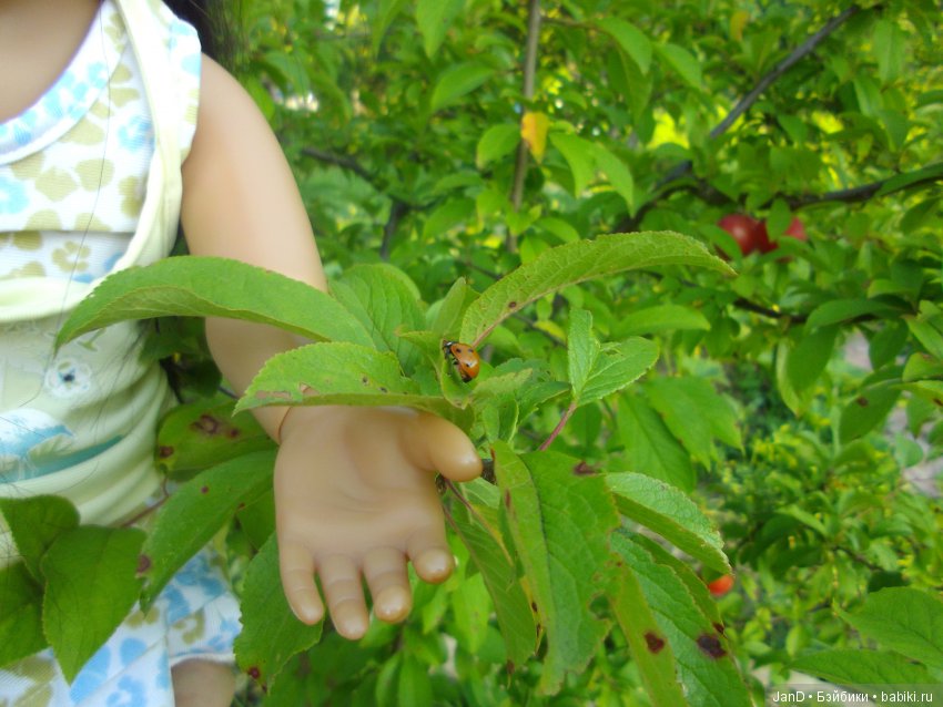 Kidz'N'Cats девчонки на природе