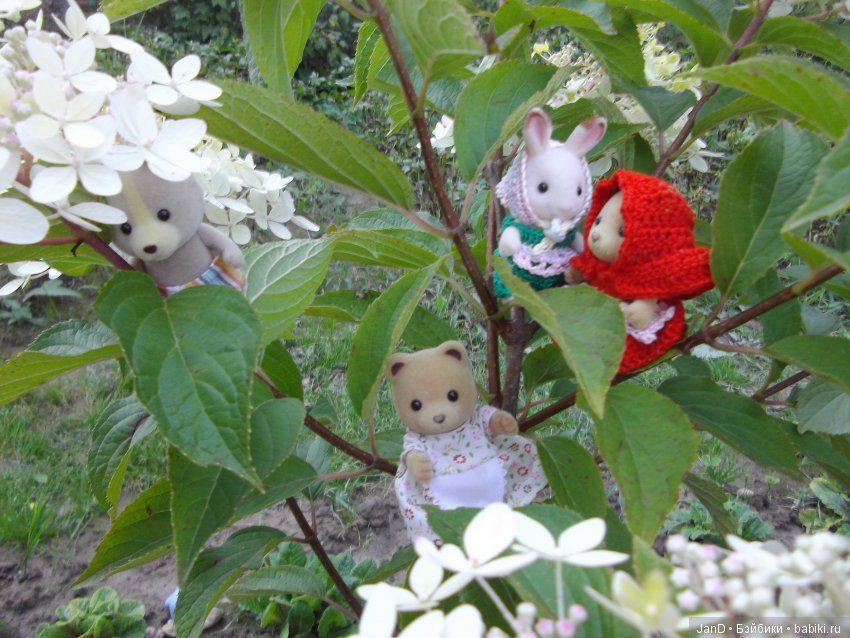 Sylvanian Families :приключения Красной шапочки