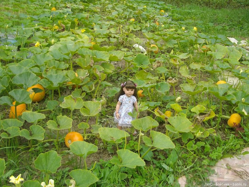 Gotz брюнетка Ханна. Летняя пора