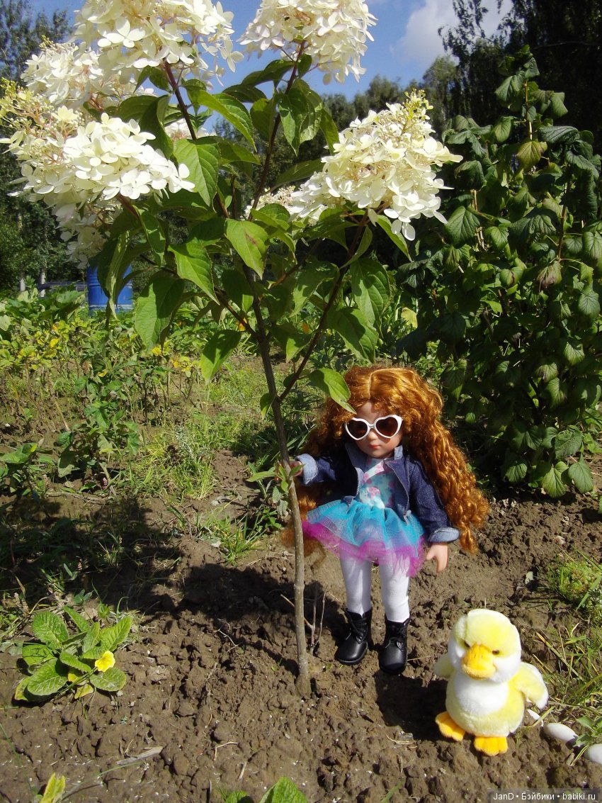 Käthe Kruse:зеленоглазая Carlotte (фото 7)