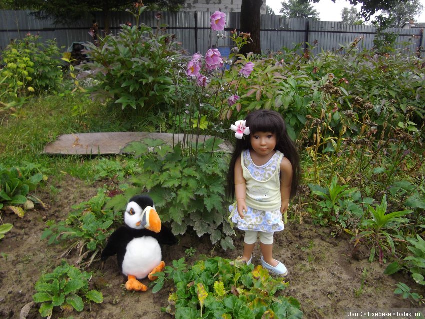 Kidz'N'Cats Кики — Куклы Kidz'n'Cats (Соня Хартман): шарнирные 46 см