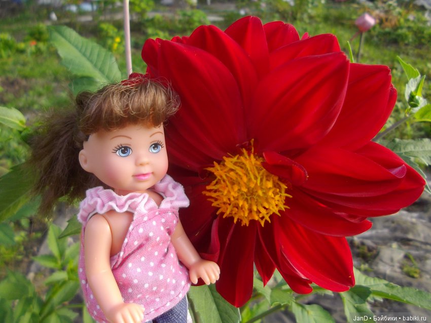 Evi Simba на прогулке — Куклы Simba: Еви (Evi) и Штеффи (Steffi Love) (фото 8)