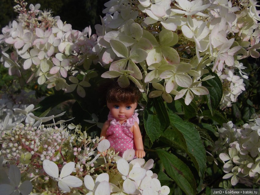 Evi Simba на прогулке — Куклы Simba: Еви (Evi) и Штеффи (Steffi Love) (фото 3)