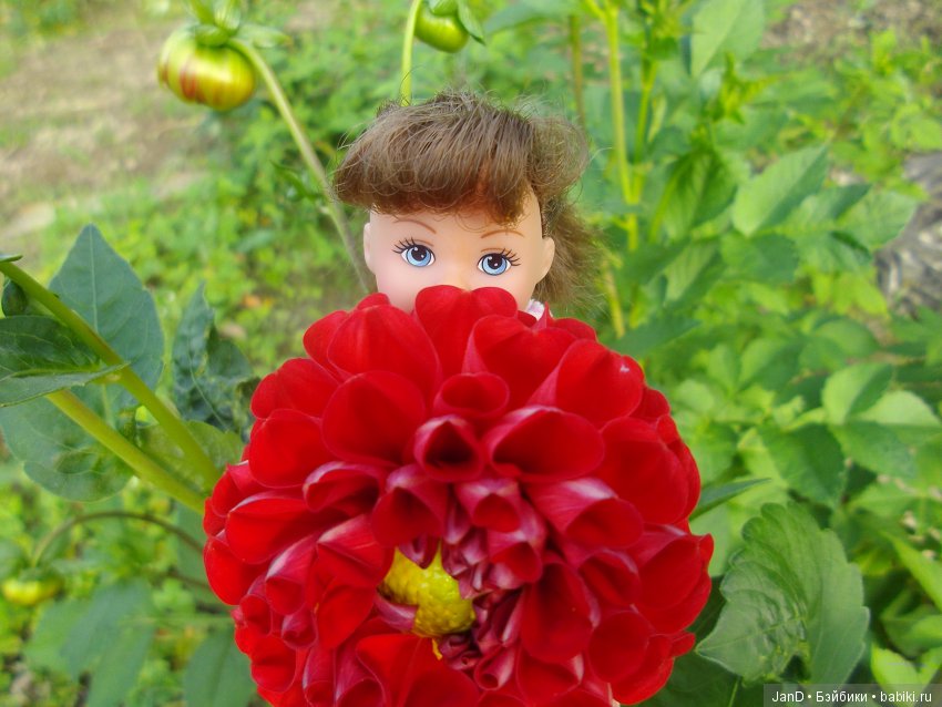 Evi Simba на прогулке — Куклы Simba: Еви (Evi) и Штеффи (Steffi Love) (фото 10)