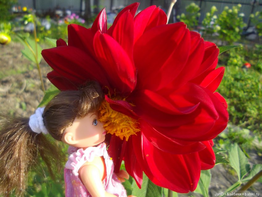 Evi Simba на прогулке — Куклы Simba: Еви (Evi) и Штеффи (Steffi Love) (фото 9)