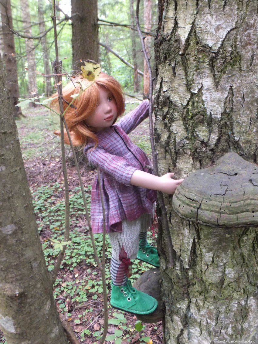 Zwergnase Junior Karolina -за грибами