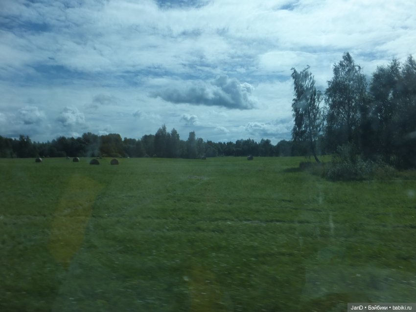 Zwergnase Junior Karolina -за грибами