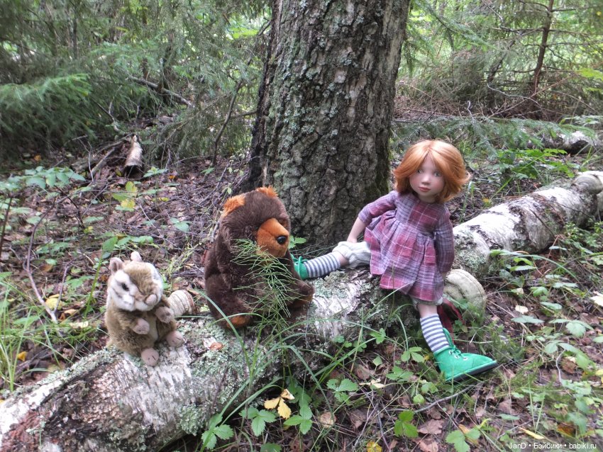 Zwergnase Junior Karolina -за грибами