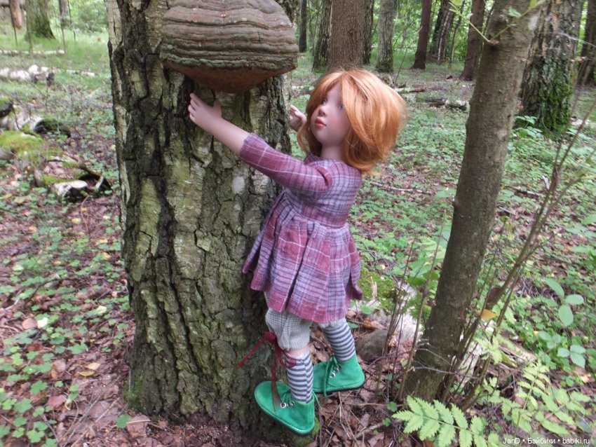 Zwergnase Junior Karolina -за грибами