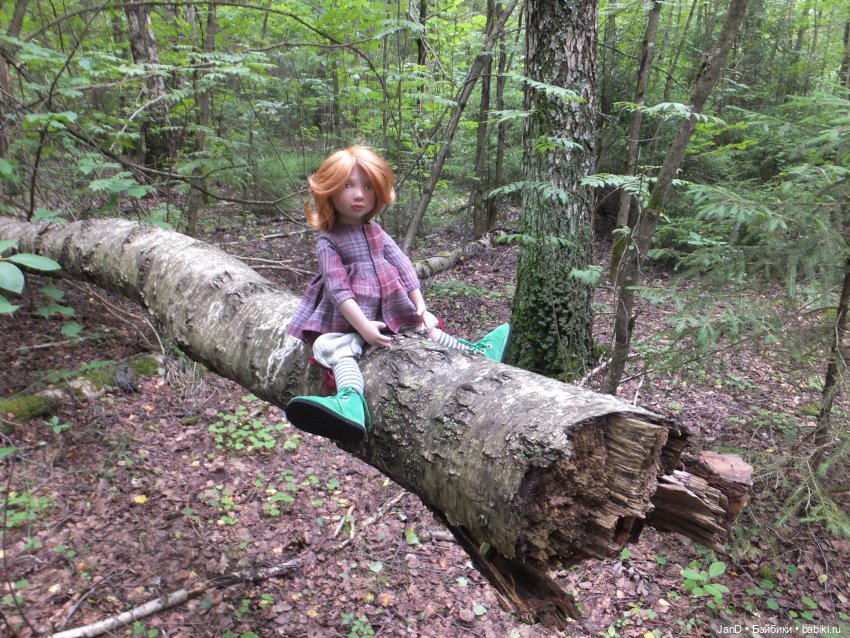 Zwergnase Junior Karolina -за грибами