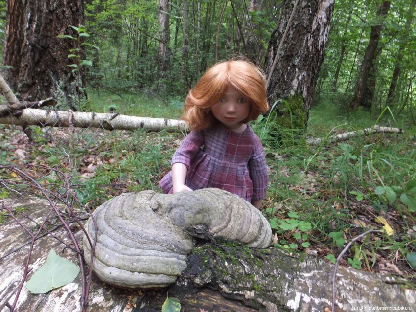 Zwergnase Junior Karolina -за грибами (фото 4)