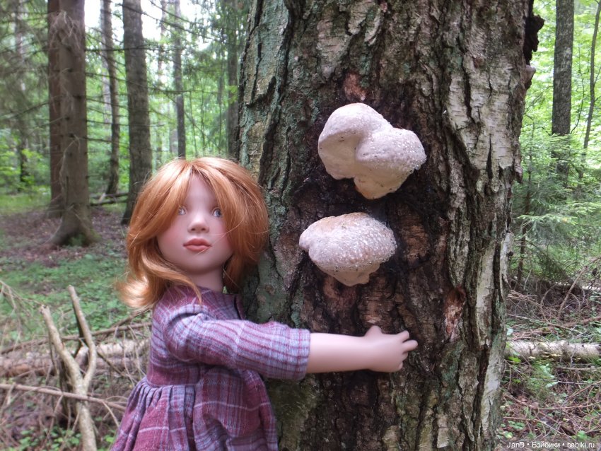 Zwergnase Junior Karolina -за грибами