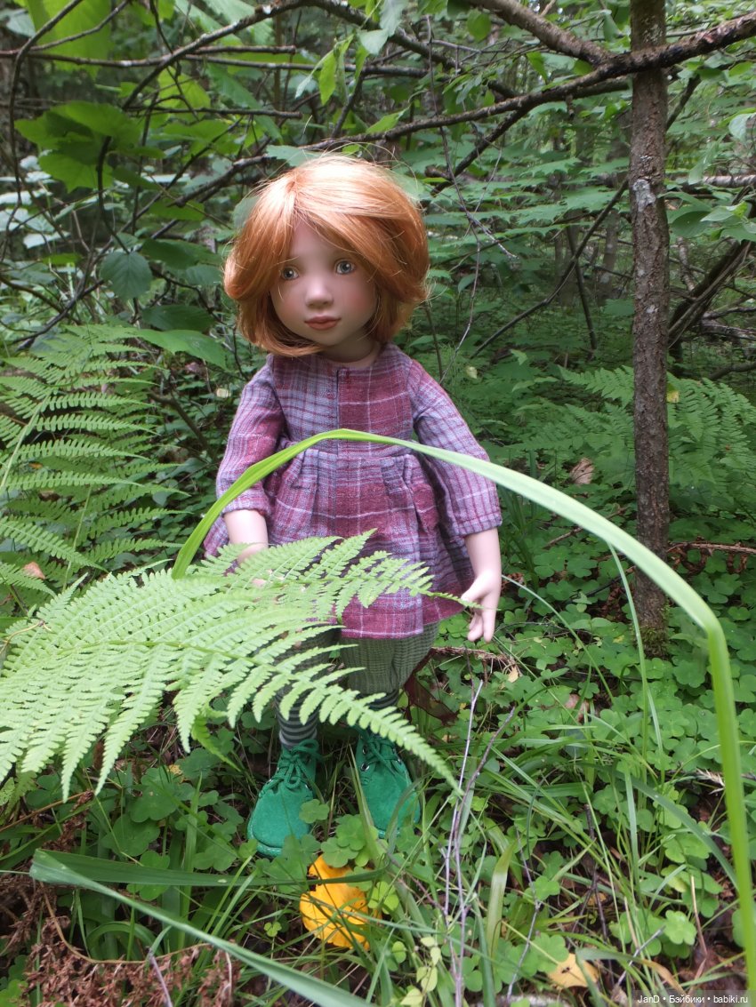 Zwergnase Junior Karolina -за грибами