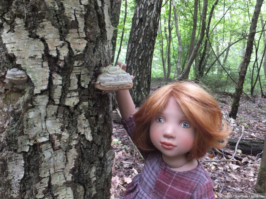 Zwergnase Junior Karolina -за грибами