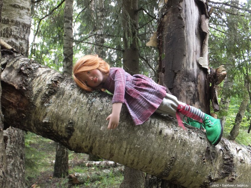 Zwergnase Junior Karolina -за грибами