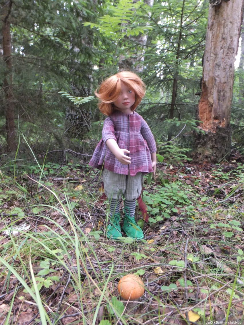 Zwergnase Junior Karolina -за грибами