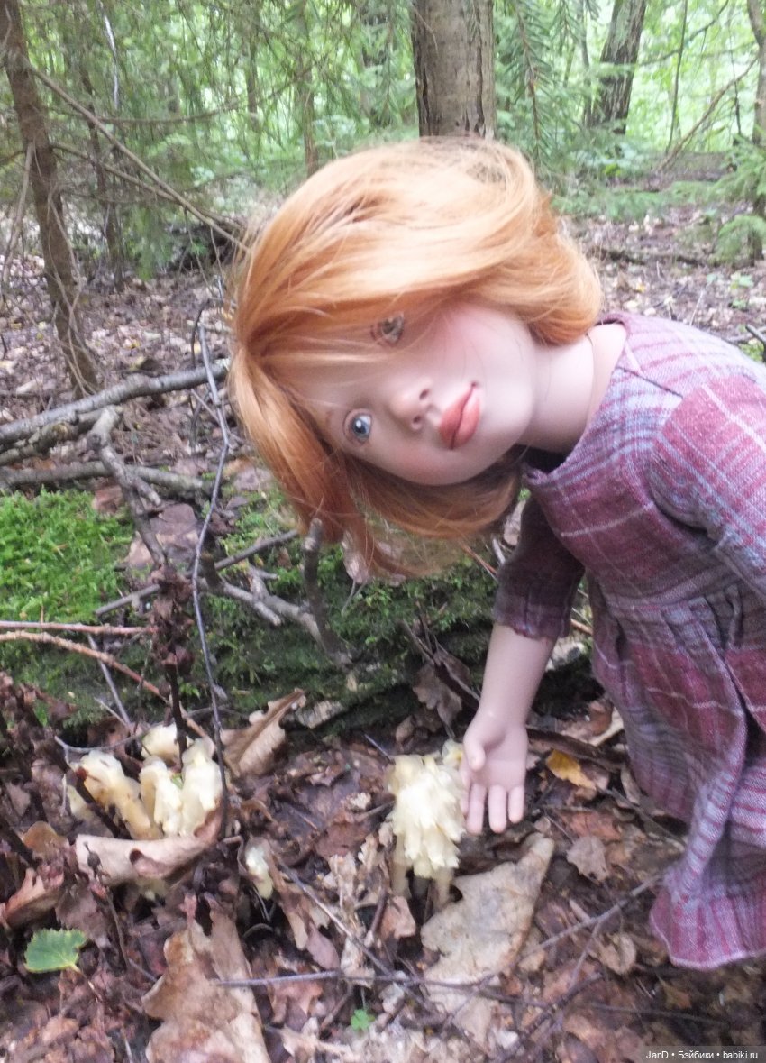 Zwergnase Junior Karolina -за грибами (фото 9)