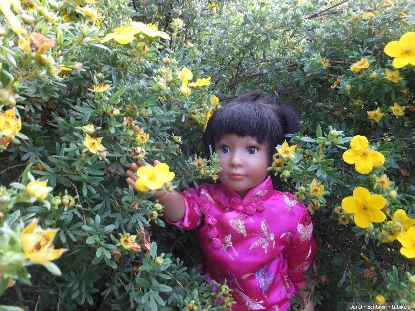 Kidz'N'Cats Кики и гортензия Фантом