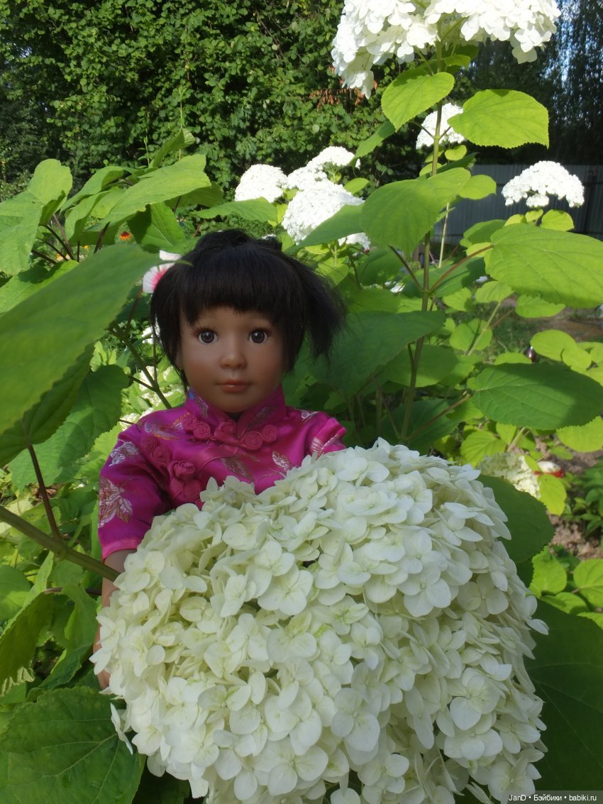 Kidz'N'Cats Кики и гортензия Фантом