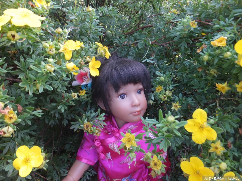 Kidz'N'Cats Кики и гортензия Фантом