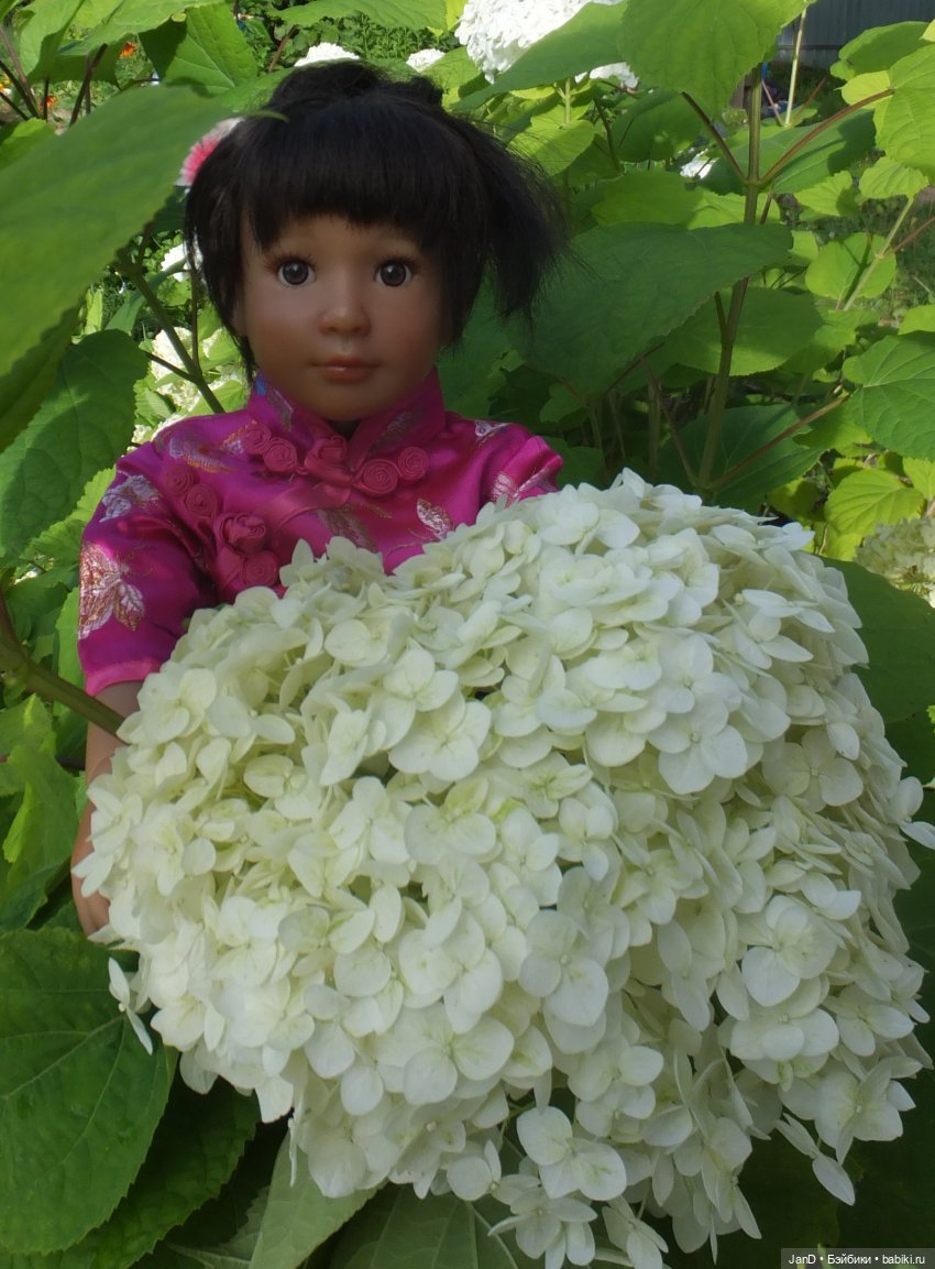 Kidz'N'Cats Кики и гортензия Фантом