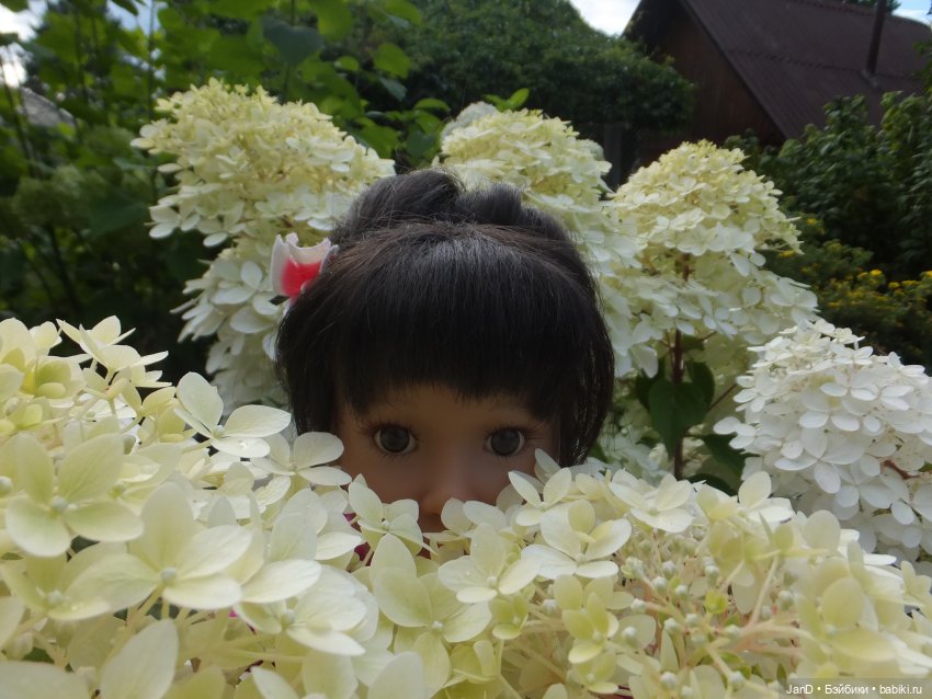 Kidz'N'Cats Кики и гортензия Фантом