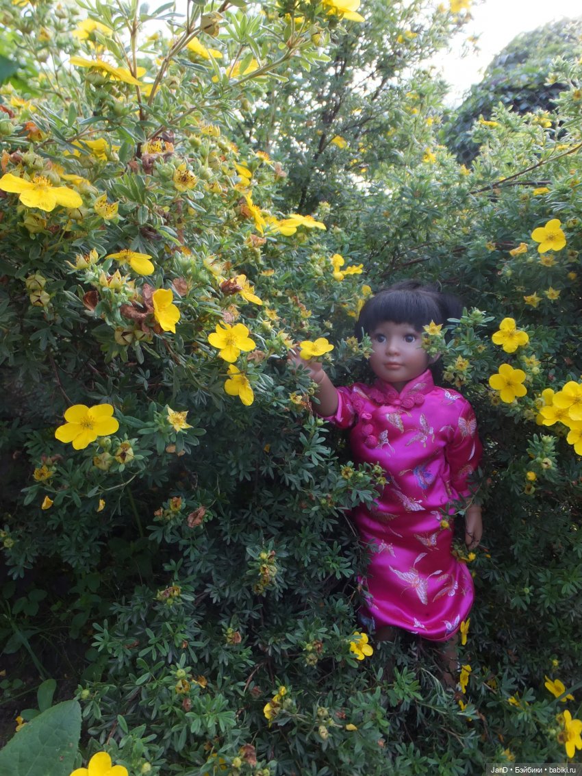 Kidz'N'Cats Кики и гортензия Фантом