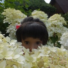 Kidz'N'Cats Кики и гортензия Фантом