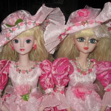 Мои звездные красавицы